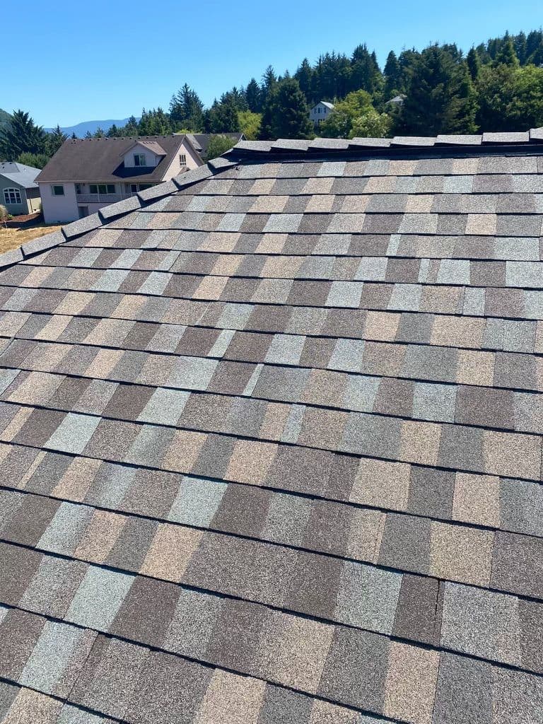expert roofing