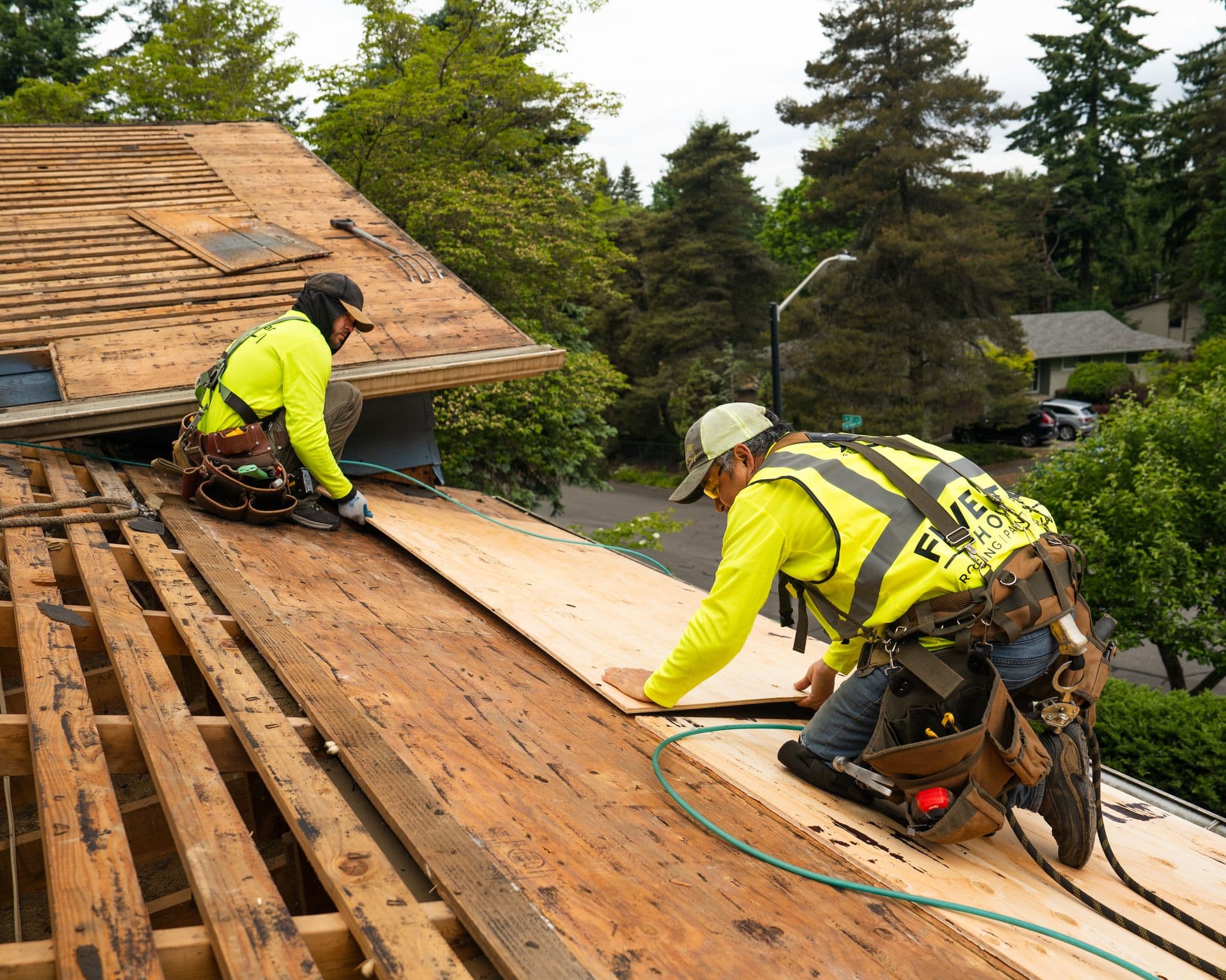 FSH Final Photos.1-2