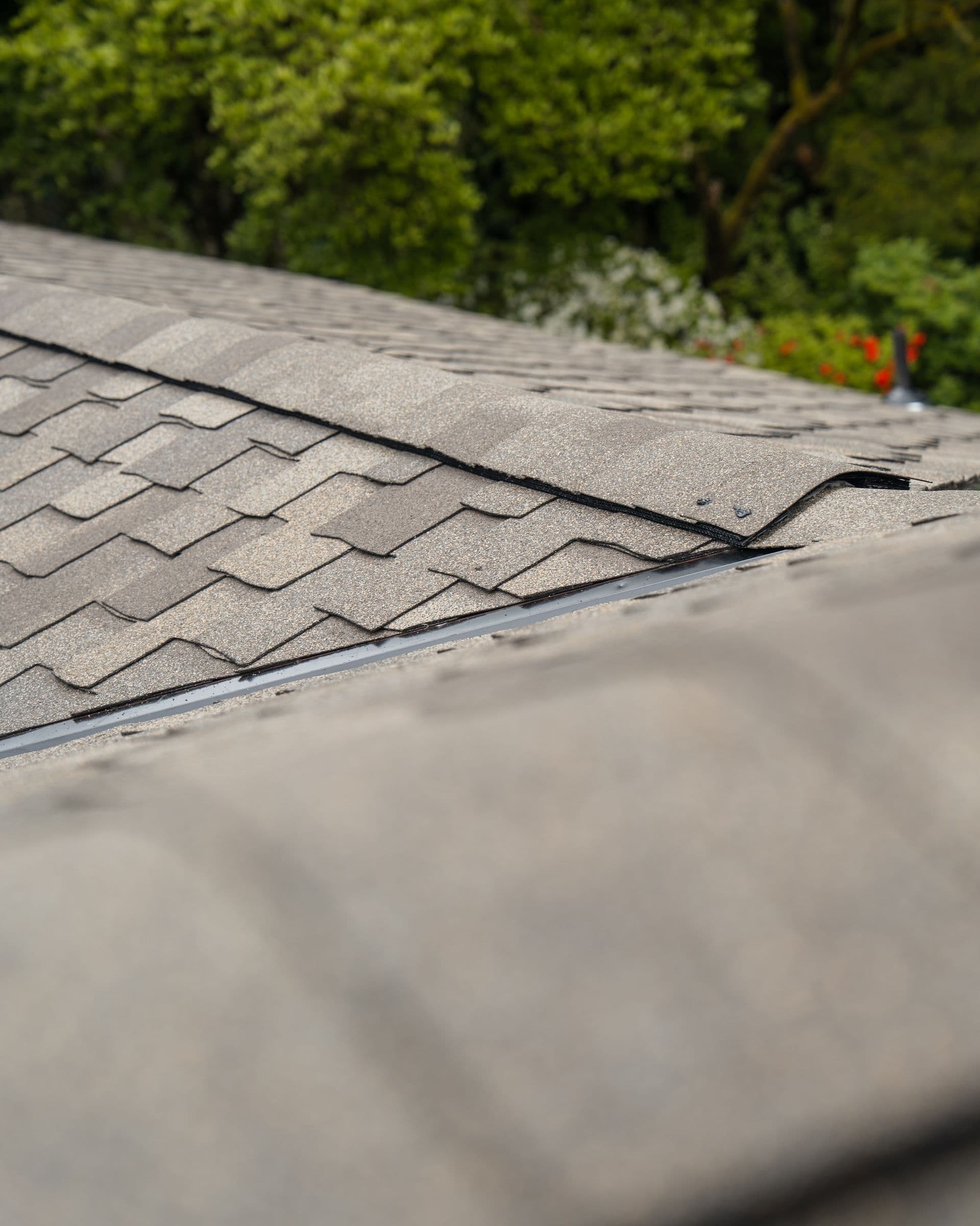 FSH Final Photos.1-7