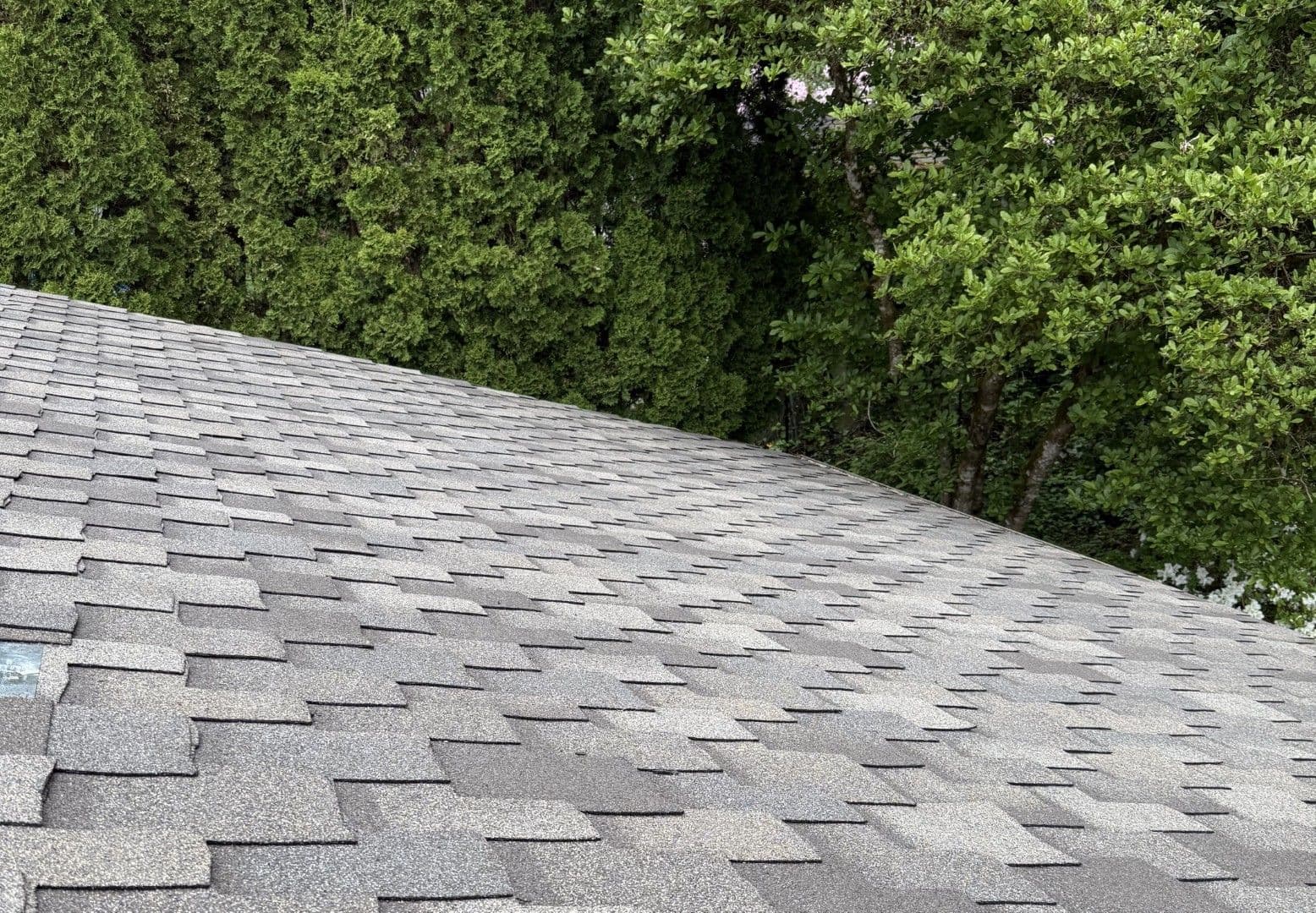 roof image hero