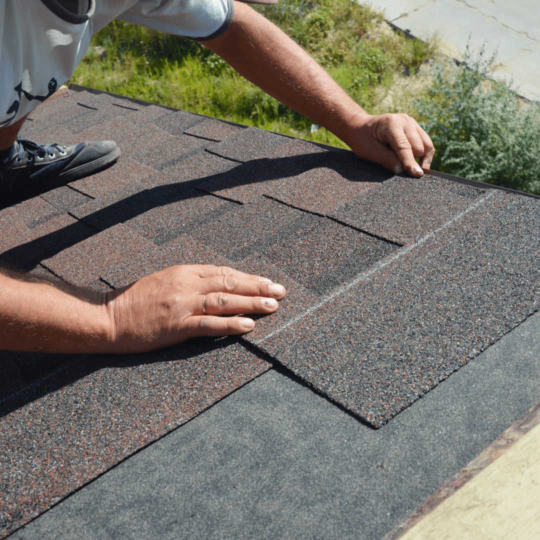 shingle