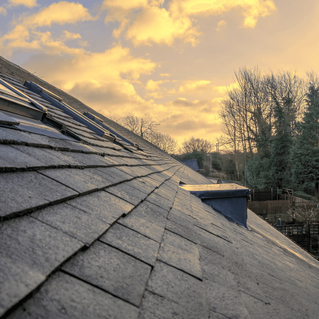 roof dusk