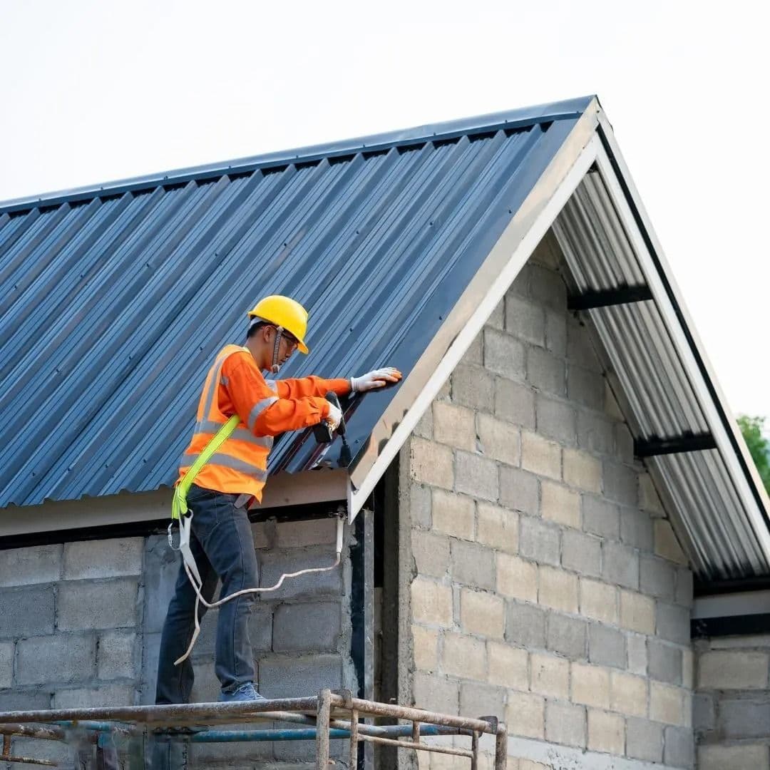 roof expert